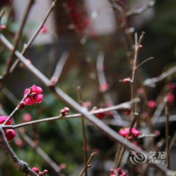 和顺观湖楼民居酒店提供图片