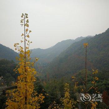 成都五里青城民宿(青正街分店)酒店提供图片