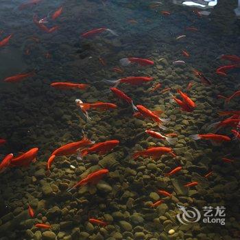 天津蓟县渔阳宾馆酒店提供图片