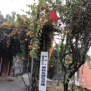 攀枝花常乐民俗康养酒店酒店提供图片