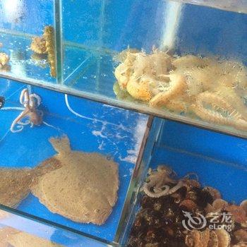 蓬莱扬帆渔家乐酒店提供图片