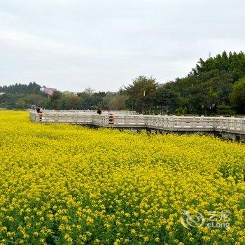 东莞桥头三正半山酒店酒店提供图片