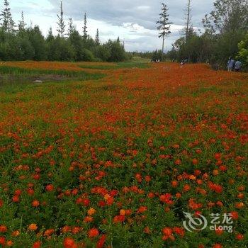 白山长白山池北区二道白河镇旅游家庭度假公寓酒店提供图片