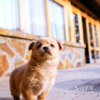 北京驿雲·乡居慢时光别院酒店提供图片