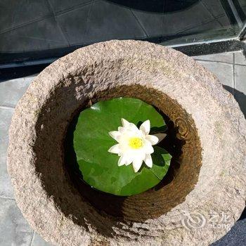 西塘莲里民宿酒店提供图片