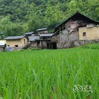 荔波茂兰甲乙青年客栈酒店提供图片