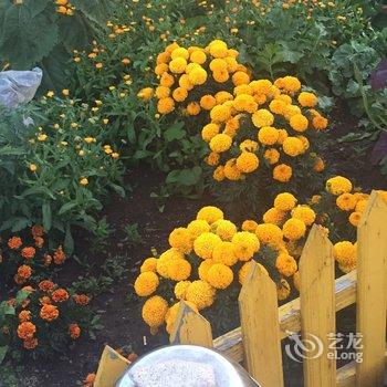 额尔古纳恩和嘎列旅游之家酒店提供图片