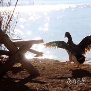 凉山泸沽湖彼岸花楼客栈酒店提供图片