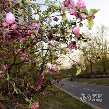 绥中佳兆业浪淘沙海景公寓酒店提供图片