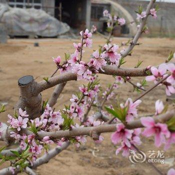 绥中佳兆业浪淘沙海景公寓酒店提供图片