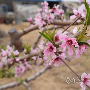 绥中佳兆业浪淘沙海景公寓酒店提供图片