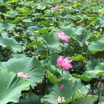 荔波墅·水云间庄园酒店提供图片