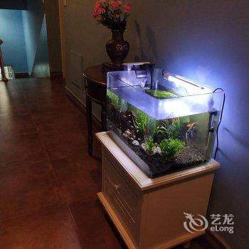 厦门桃园小屋客栈酒店提供图片