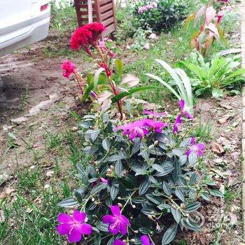 成都珈蓉院民宿酒店提供图片