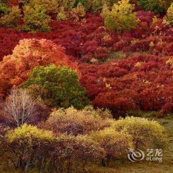 乌兰布统京畿大营度假村酒店提供图片