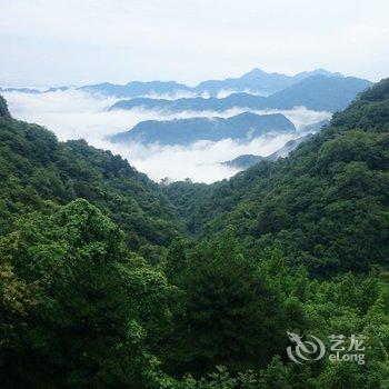 武当山太极会馆酒店提供图片