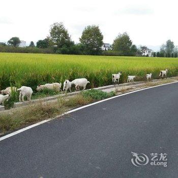 黟县碧山云海客栈酒店提供图片