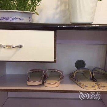 成都狸狸的斐然小居普通公寓酒店提供图片