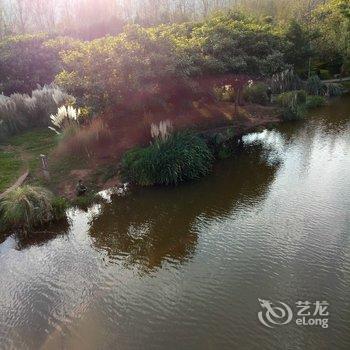 凉山西昌鑫海国际湿地公寓阳光小屋酒店提供图片