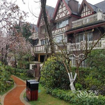 成都青城山乐墅联排别墅酒店提供图片