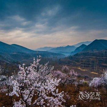 北京山楂小院酒店提供图片