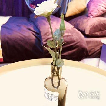 上海Lois Ye普通公寓(分店)酒店提供图片