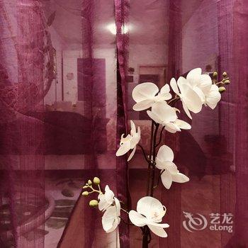 上海Lois Ye普通公寓(分店)酒店提供图片