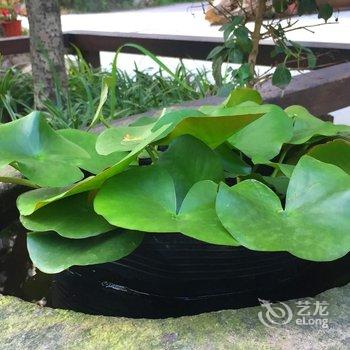 缙云旭升客栈酒店提供图片