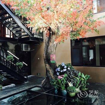 青岛崂山枫树下民宿公寓(我乐社区分店)酒店提供图片