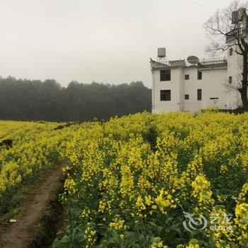 婺源江岭和谐山庄酒店提供图片