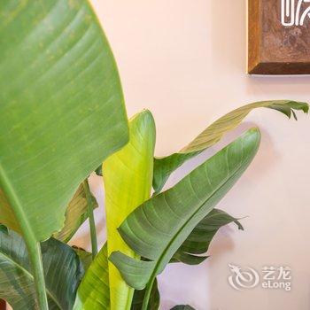 重庆莫小莫的特色民宿(洋河二路分店)酒店提供图片