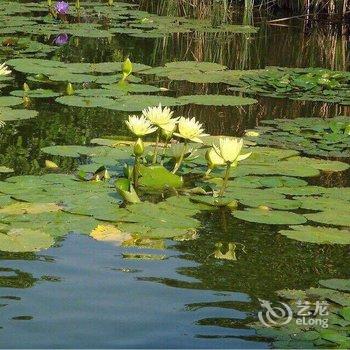 佛冈碧桂园温泉别墅酒店提供图片