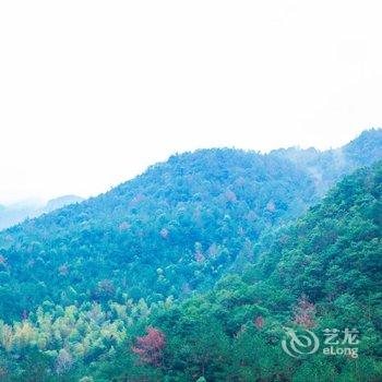 永嘉竹园边客栈酒店提供图片