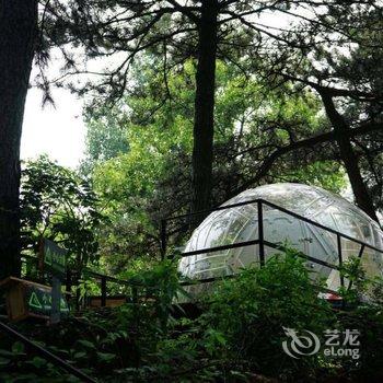 北京旅行者的家帐篷营地(分店)酒店提供图片