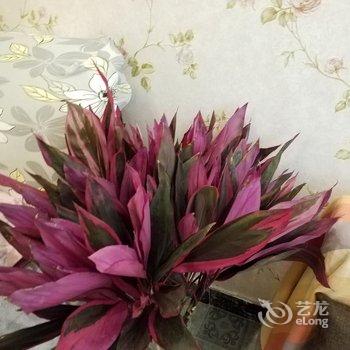 成都秀美之居公寓(银河路分店)酒店提供图片