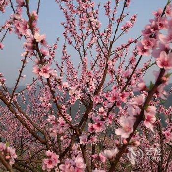 郴州东江湖怀宇农庄特色民宿酒店提供图片