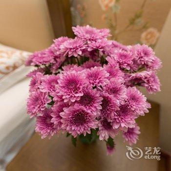青岛茶语花啡精品度假公寓奥帆中心店酒店提供图片
