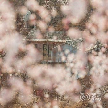 涞水麻麻花的山坡小院酒店提供图片