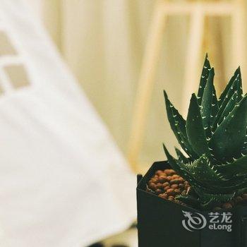 重庆解放碑边边大脑壳的窝公寓(五四路分店)酒店提供图片