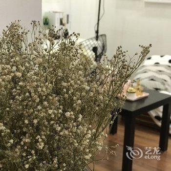 重庆解放碑边边大脑壳的窝公寓(五四路分店)酒店提供图片