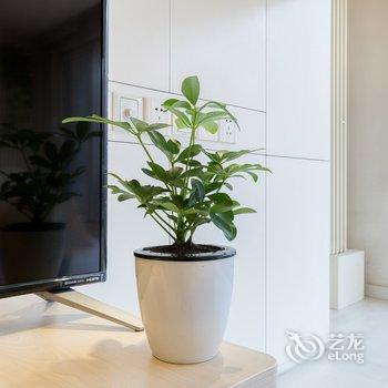 北京卖火柴的老太太公寓(辅路分店)酒店提供图片