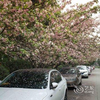 成都果果特色民宿(二环交大路口分店)酒店提供图片