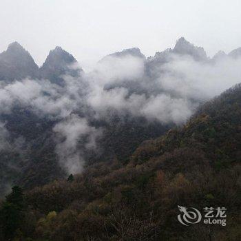 武当山太极别院酒店提供图片