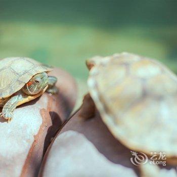 大理初醒客栈酒店提供图片