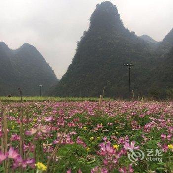 荔波依山碧水农家客栈酒店提供图片