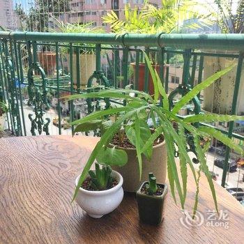 成都阿飞的桃花坞特色民宿(桐梓林路分店)酒店提供图片