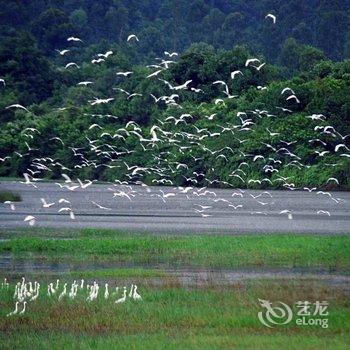 佛山水榕庄度假别墅酒店提供图片