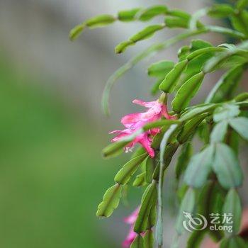 桂林未见雨江景客栈酒店提供图片