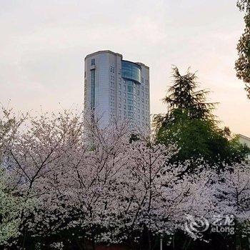 武汉雄楚国际大酒店酒店提供图片