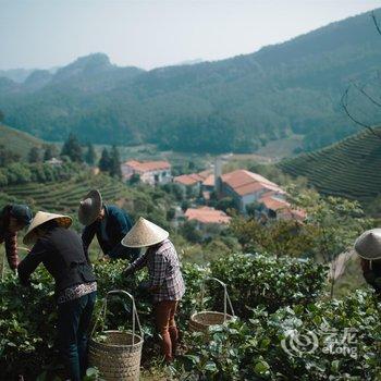 武夷山嘉叶山舍酒店提供图片